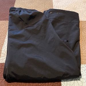 Mens Carhartt Snow pants